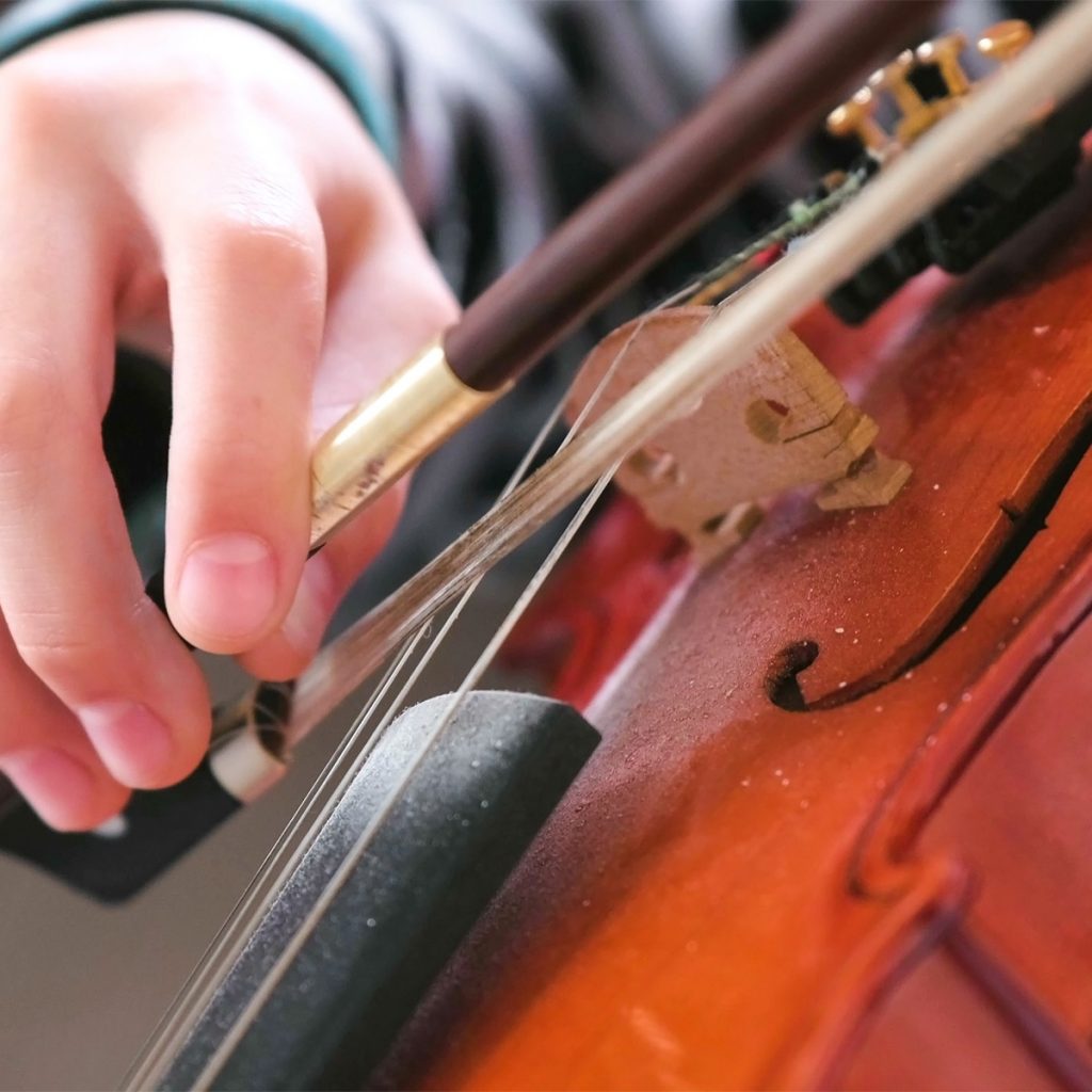 Viola Rental Instrument Hillje Music Centers