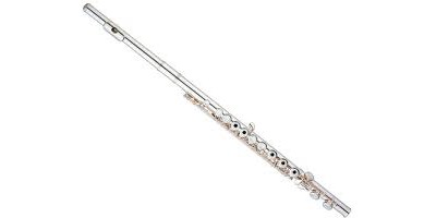 Flute rentals near deals me